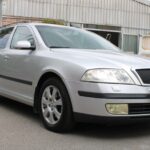 ŠKODA OCTAVIA II, 2.0 TDI 